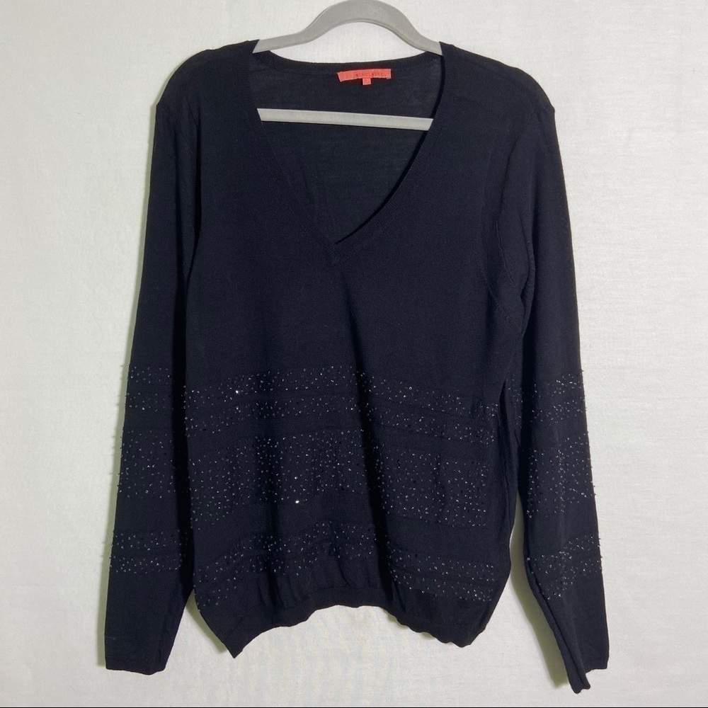 SINCLAIRE 10 100% Wool Beaded VNeck Sweater